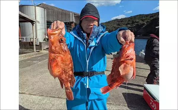「五ケ所湾沖のウッカリカサゴ釣りで40cm級連発！【三重】オニ・アヤメ交じり好土産」の画像
