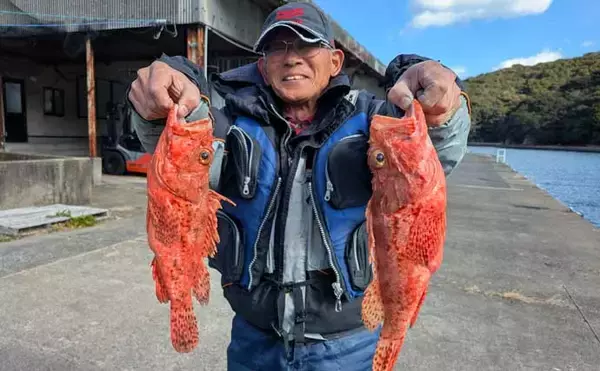 「五ケ所湾沖のウッカリカサゴ釣りで40cm級連発！【三重】オニ・アヤメ交じり好土産」の画像