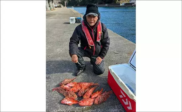 「五ケ所湾沖のウッカリカサゴ釣りで40cm級連発！【三重】オニ・アヤメ交じり好土産」の画像