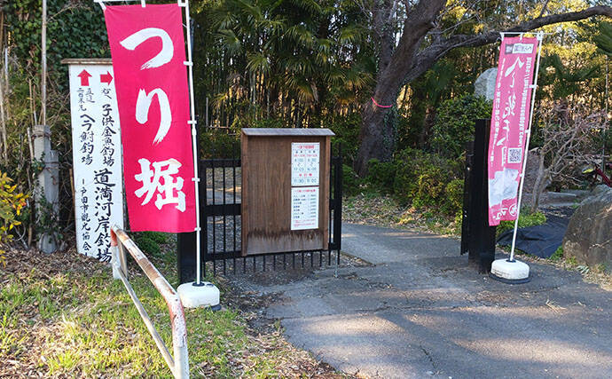 淡水小物釣りでバラタナゴ4束オーバー！【道満河岸ヘラ鮒釣場】開始から爆釣スタート