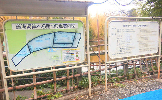 淡水小物釣りでバラタナゴ4束オーバー！【道満河岸ヘラ鮒釣場】開始から爆釣スタート