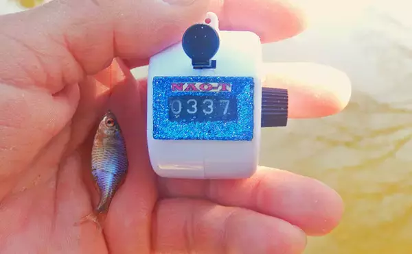 「淡水小物釣りでバラタナゴ4束オーバー！【道満河岸ヘラ鮒釣場】開始から爆釣スタート」の画像