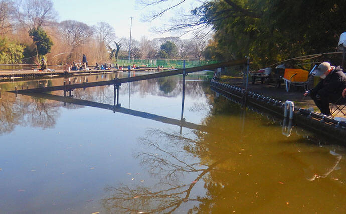 淡水小物釣りでバラタナゴ4束オーバー！【道満河岸ヘラ鮒釣場】開始から爆釣スタート