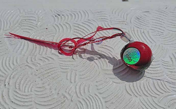 タイラバ＆ジギング釣行で良型マダイにブリにシーバス好捕【福井・HOZAN】