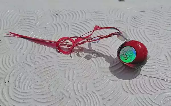 「タイラバ＆ジギング釣行で良型マダイにブリにシーバス好捕【福井・HOZAN】」の画像