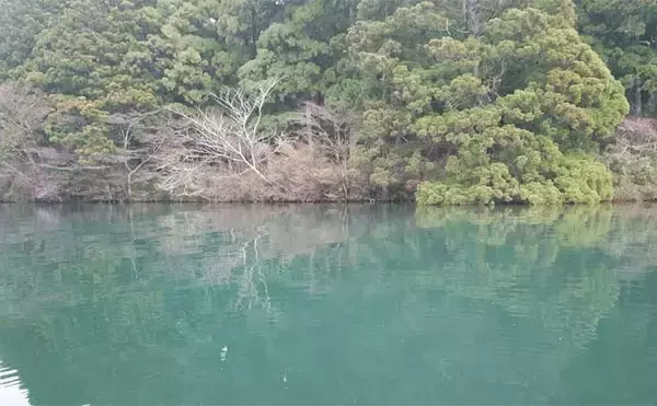 「芦ノ湖ボートフライフィッシングで65cm筆頭にニジマス13尾キャッチ【神奈川】」の画像