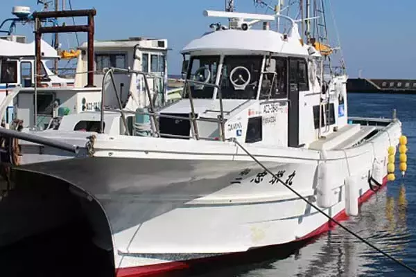 「【船のエサ釣り釣果速報】伊良湖沖で肉厚のコウイカが好反応！（愛知）」の画像