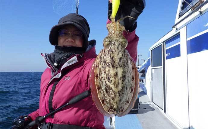 【船のエサ釣り釣果速報】伊良湖沖で肉厚のコウイカが好反応！（愛知）