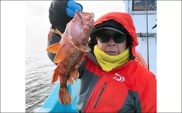 「【船のエサ釣り釣果速報】伊良湖沖で肉厚のコウイカが好反応！（愛知）」の画像