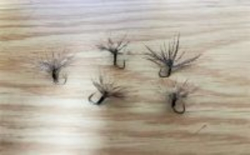 「自作毛鉤で挑む初テンカラ釣り！」千早川マス釣り場でニジマス5匹キャッチ【大阪】