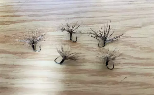 「「自作毛鉤で挑む初テンカラ釣り！」千早川マス釣り場でニジマス5匹キャッチ【大阪】」の画像