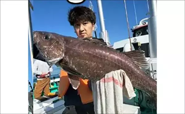 「【沖釣り釣果速報】福井沖の中深海マダラ釣りが絶好調！10kgオーバー続々浮上（北陸）」の画像
