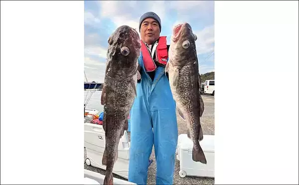 「【沖釣り釣果速報】福井沖の中深海マダラ釣りが絶好調！10kgオーバー続々浮上（北陸）」の画像