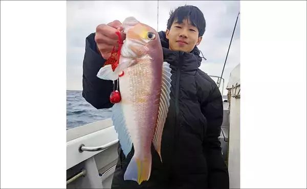 「【沖のルアー釣果速報】博多湾のブレードジギングで4kg級サワラ浮上！今後もチャンスあり（福岡）」の画像