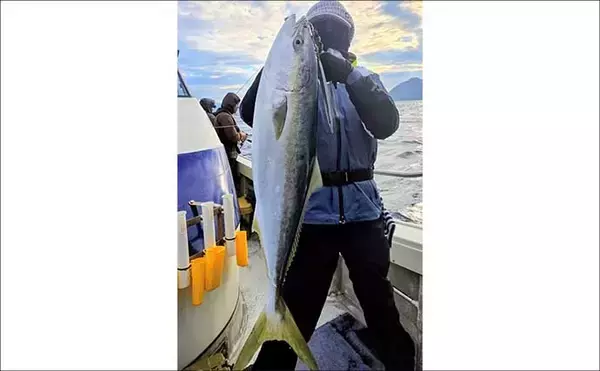 「【沖のルアー釣果速報】博多湾のブレードジギングで4kg級サワラ浮上！今後もチャンスあり（福岡）」の画像