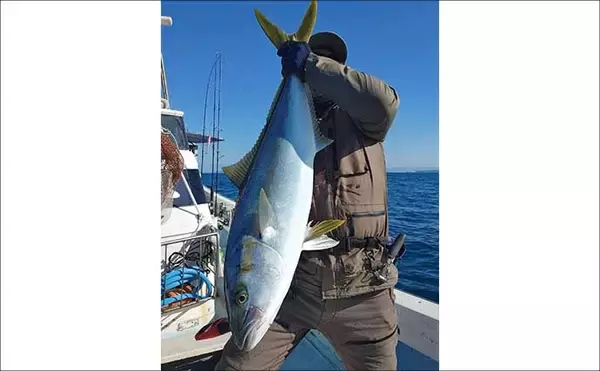 「【沖のルアー釣果速報】博多湾のブレードジギングで4kg級サワラ浮上！今後もチャンスあり（福岡）」の画像