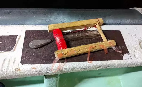 「高仕掛けでマダイに青物が連発！【和歌山・加太】バラシも連発だけど存分に満喫」の画像