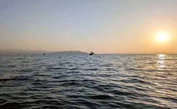 「高仕掛けでマダイに青物が連発！【和歌山・加太】バラシも連発だけど存分に満喫」の画像