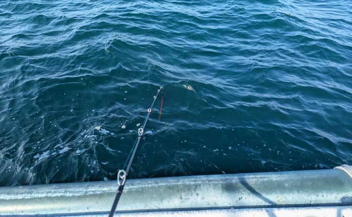 高仕掛けでマダイに青物が連発！【和歌山・加太】バラシも連発だけど存分に満喫