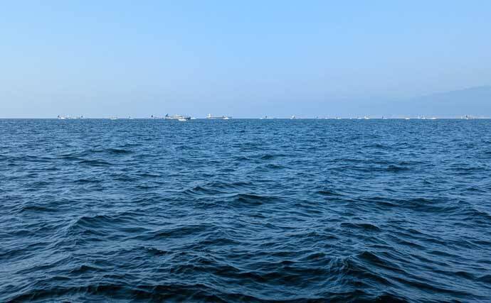 高仕掛けでマダイに青物が連発！【和歌山・加太】バラシも連発だけど存分に満喫