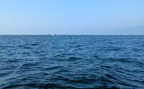 「高仕掛けでマダイに青物が連発！【和歌山・加太】バラシも連発だけど存分に満喫」の画像