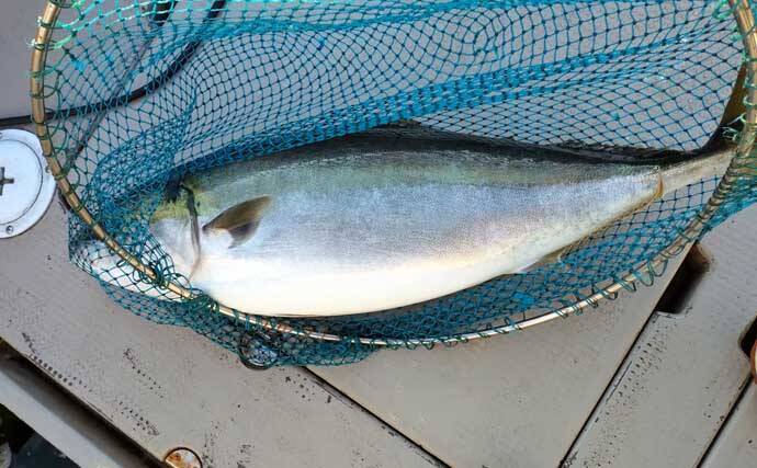 【沖のルアー釣果速報】SLJ＆ブレードジギングで大型アコウ手中！高級根魚が多数ヒット（九州）