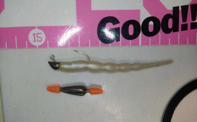 北陸での陸っぱりアジング釣行で30cm超え「尺アジ」キャッチに成功！