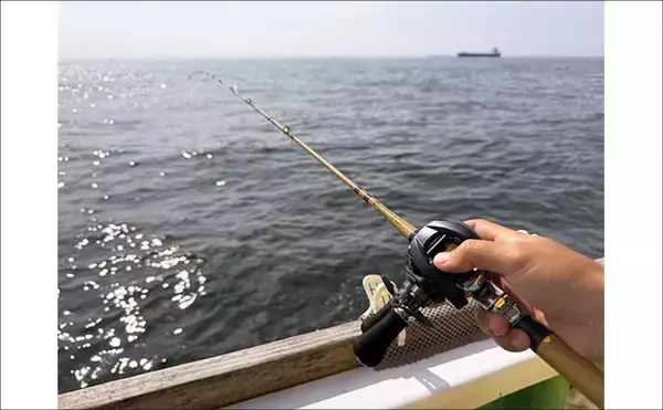 「「投げずに船下狙いだけ」で東京湾の船シロギス釣りに挑戦【荒川屋】天秤仕掛けでキス約70匹！」の画像