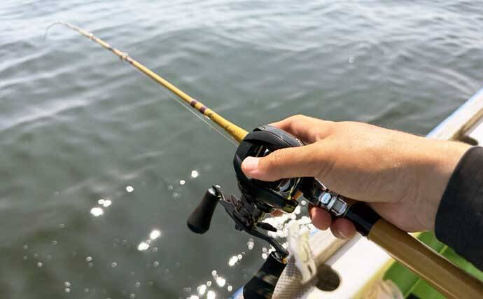 「投げずに船下狙いだけ」で東京湾の船シロギス釣りに挑戦【荒川屋】天秤仕掛けでキス約70匹！