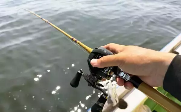 「「投げずに船下狙いだけ」で東京湾の船シロギス釣りに挑戦【荒川屋】天秤仕掛けでキス約70匹！」の画像