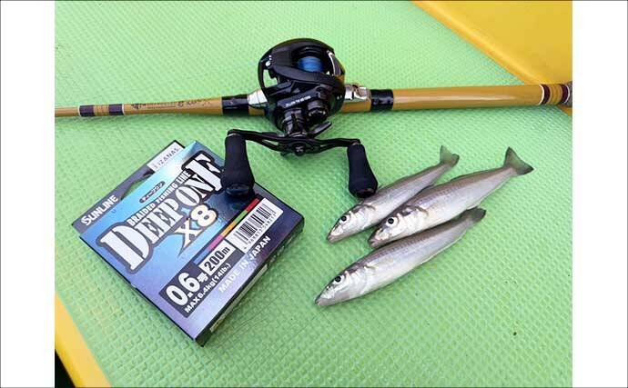 「投げずに船下狙いだけ」で東京湾の船シロギス釣りに挑戦【荒川屋】天秤仕掛けでキス約70匹！