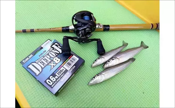 「「投げずに船下狙いだけ」で東京湾の船シロギス釣りに挑戦【荒川屋】天秤仕掛けでキス約70匹！」の画像