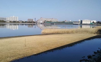 東京湾最奥のオアシス『谷津干潟』　生物の楽園に迫る環境変化とは？