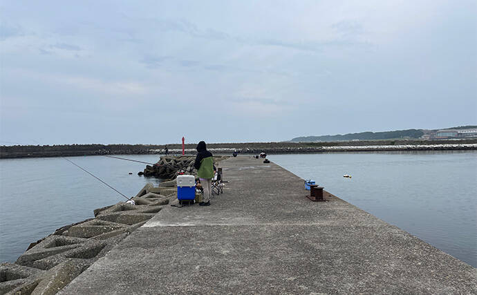 「超」釣り初心者が実際にした失敗3選　欲張りすぎは釣れない＆楽しくないかも