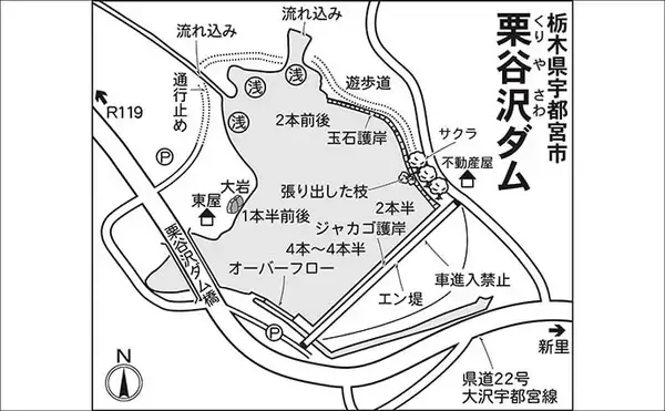 「今週のヘラブナ推薦釣り場2025【栃木・栗谷沢ダム】」の画像