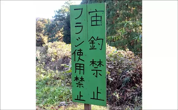 「今週のヘラブナ推薦釣り場2025【栃木・栗谷沢ダム】」の画像