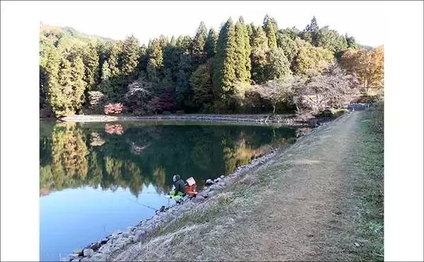 「今週のヘラブナ推薦釣り場2025【栃木・栗谷沢ダム】」の画像