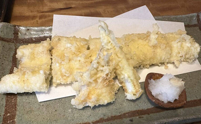 庶民の味だった＜アナゴ＞が高級魚になったワケ　未だ謎が多い生活史とは？