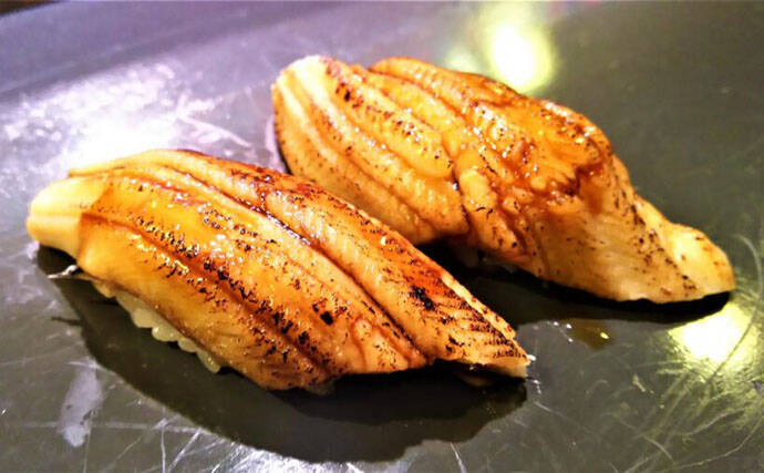 庶民の味だった＜アナゴ＞が高級魚になったワケ　未だ謎が多い生活史とは？