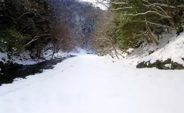 「極寒の田村川で放流魚狙いの渓流釣り【滋賀】雪中ラン＆ガンで42cmのニジマス手中」の画像