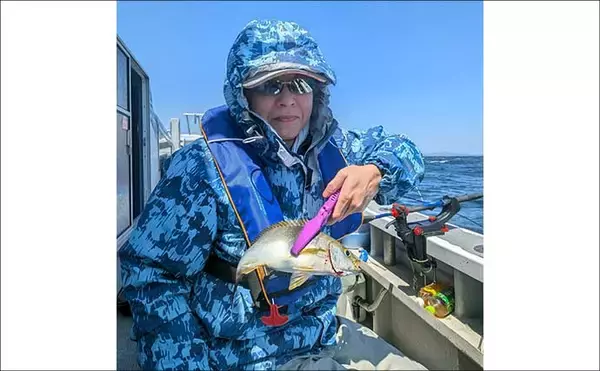 「大山沖イサキ釣りで38cm筆頭に本命ポツポツ【石川丸・愛知】置き竿にヒット」の画像