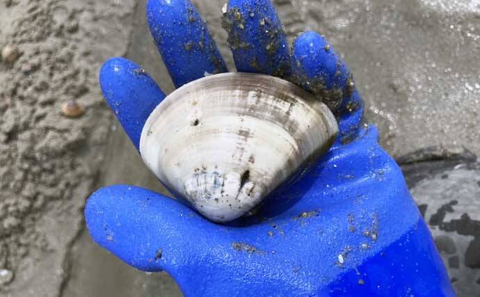 「定番から穴場まで！」愛知でアサリとハマグリが採れる【厳選】潮干狩り場6選