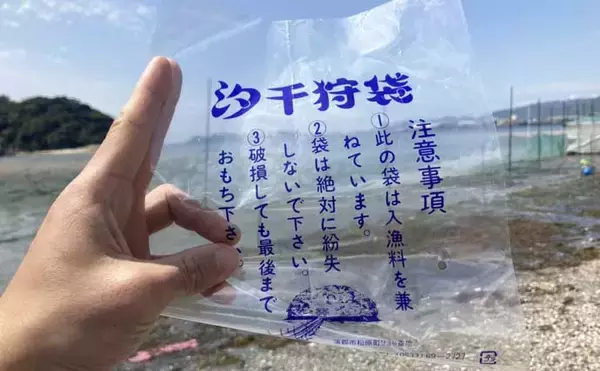 「「定番から穴場まで！」愛知でアサリとハマグリが採れる【厳選】潮干狩り場6選」の画像