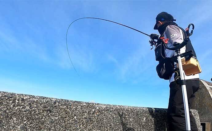 堤防フカセ釣りでクロダイ7枚手中【静岡・清水港】　コーンエサで連発