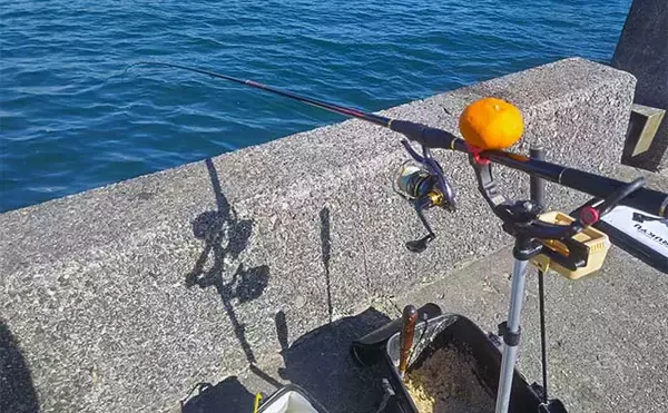 「堤防フカセ釣りでクロダイ7枚手中【静岡・清水港】　コーンエサで連発」の画像