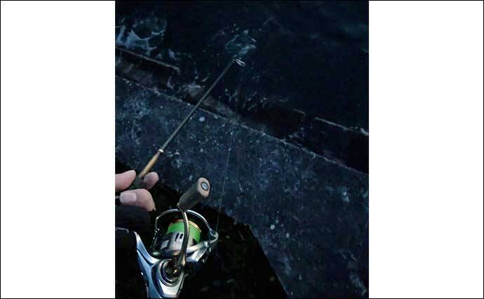 大阪湾奥ライトゲーム釣行でバチ発見もサカナ無反応　タモ破損で心も折れた？