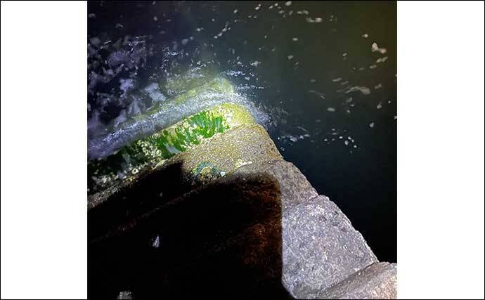 大阪湾奥ライトゲーム釣行でバチ発見もサカナ無反応　タモ破損で心も折れた？