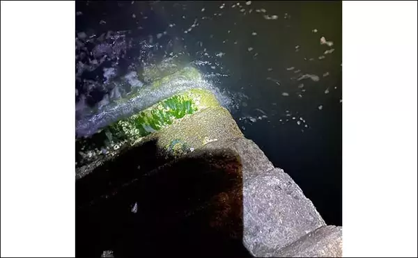 「大阪湾奥ライトゲーム釣行でバチ発見もサカナ無反応　タモ破損で心も折れた？」の画像