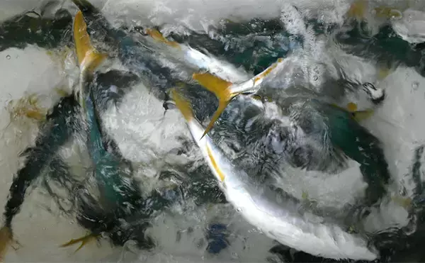 「時代のトレンドとは真逆の【フルソリッドロッドのススメ】 特徴と長所を解説」の画像