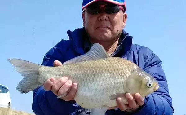 吉田康雄のザ・チャレンジへらぶな【春の霞ヶ浦でエンジョイ！：第1回】